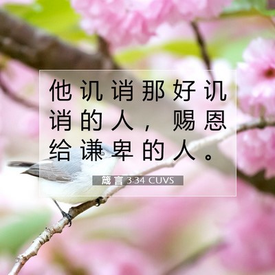Picture 07 - 箴 言 3:34 CUVS - 他 讥 诮 那 好 讥 诮 的 人 ， 赐 恩 - Bible Verse Picture