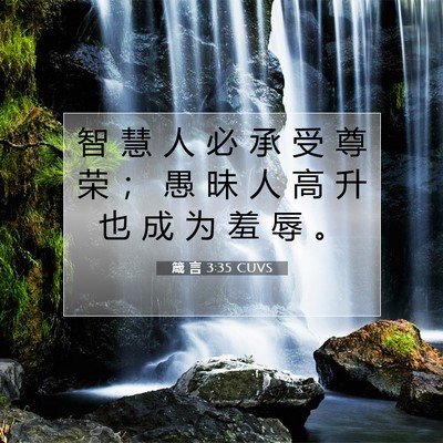 Picture 07 - 箴 言 3:35 CUVS - 智 慧 人 必 承 受 尊 荣 ； 愚 昧 人 - Bible Verse Picture