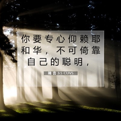 Picture 07 - 箴 言 3:5 CUVS - 你 要 专 心 仰 赖 耶 和 华 ， 不 可 - Bible Verse Picture