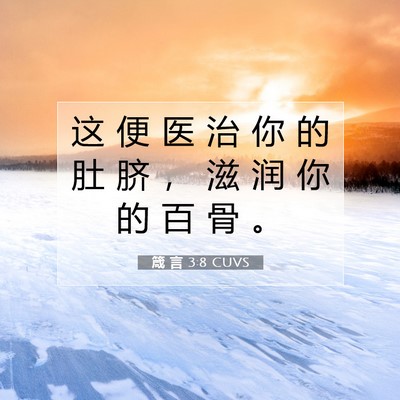 Picture 07 - 箴 言 3:8 CUVS - 这 便 医 治 你 的 肚 脐 ， 滋 润 你 - Bible Verse Picture