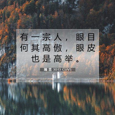 Picture 07 - 箴 言 30:13 CUVS - 有 一 宗 人 ， 眼 目 何 其 高 傲 ， - Bible Verse Picture