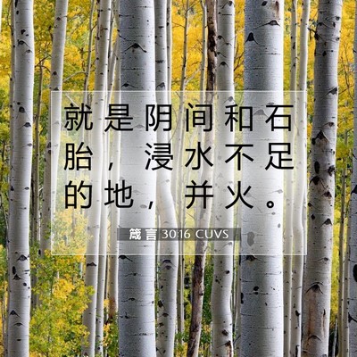 Picture 07 - 箴 言 30:16 CUVS - 就 是 阴 间 和 石 胎 ， 浸 水 不 足 - Bible Verse Picture