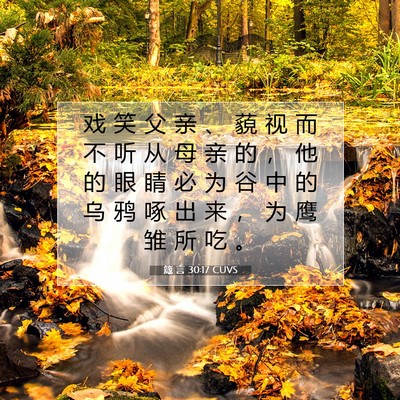 Picture 07 - 箴 言 30:17 CUVS - 戏 笑 父 亲 、 藐 视 而 不 听 从 母 - Bible Verse Picture