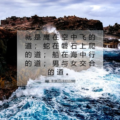 Picture 07 - 箴 言 30:19 CUVS - 就 是 鹰 在 空 中 飞 的 道 ； 蛇 在 - Bible Verse Picture