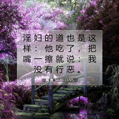 Picture 07 - 箴 言 30:20 CUVS - 淫 妇 的 道 也 是 这 样 ： 他 吃 了 - Bible Verse Picture