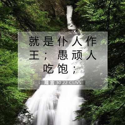 Picture 07 - 箴 言 30:22 CUVS - 就 是 仆 人 作 王 ； 愚 顽 人 吃 饱 - Bible Verse Picture