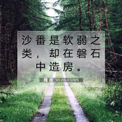 Picture 07 - 箴 言 30:26 CUVS - 沙 番 是 软 弱 之 类 ， 却 在 磐 石 - Bible Verse Picture