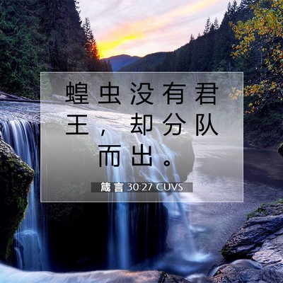 Picture 07 - 箴 言 30:27 CUVS - 蝗 虫 没 有 君 王 ， 却 分 队 而 出 - Bible Verse Picture