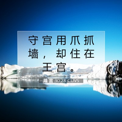 Picture 07 - 箴 言 30:28 CUVS - 守 宫 用 爪 抓 墙 ， 却 住 在 王 宫 - Bible Verse Picture