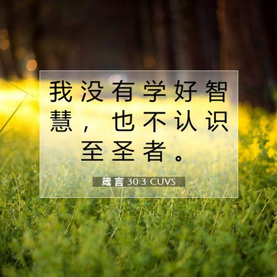 Picture 07 - 箴 言 30:3 CUVS - 我 没 有 学 好 智 慧 ， 也 不 认 识 - Bible Verse Picture