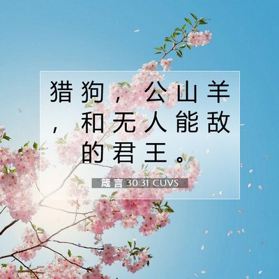 Picture 07 - 箴 言 30:31 CUVS - 猎 狗 ， 公 山 羊 ， 和 无 人 能 敌 - Bible Verse Picture