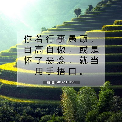 Picture 07 - 箴 言 30:32 CUVS - 你 若 行 事 愚 顽 ， 自 高 自 傲 ， - Bible Verse Picture