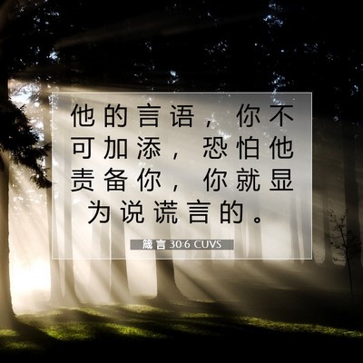 Picture 07 - 箴 言 30:6 CUVS - 他 的 言 语 ， 你 不 可 加 添 ， 恐 - Bible Verse Picture