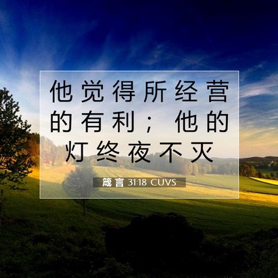 Picture 07 - 箴 言 31:18 CUVS - 他 觉 得 所 经 营 的 有 利 ； 他 的 - Bible Verse Picture