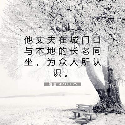 Picture 07 - 箴 言 31:23 CUVS - 他 丈 夫 在 城 门 口 与 本 地 的 长 - Bible Verse Picture