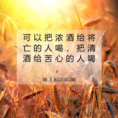 Picture 07 - 箴 言 31:6 CUVS - 可 以 把 浓 酒 给 将 亡 的 人 喝 ， - Bible Verse Picture