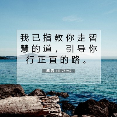 Picture 07 - 箴 言 4:11 CUVS - 我 已 指 教 你 走 智 慧 的 道 ， 引 - Bible Verse Picture