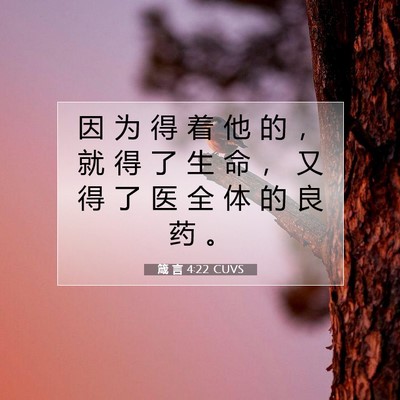 Picture 07 - 箴 言 4:22 CUVS - 因 为 得 着 他 的 ， 就 得 了 生 命 - Bible Verse Picture