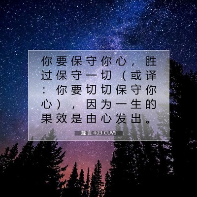 Picture 07 - 箴 言 4:23 CUVS - 你 要 保 守 你 心 ， 胜 过 保 守 一 - Bible Verse Picture