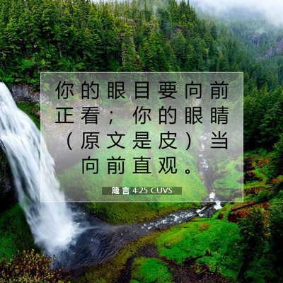 Picture 07 - 箴 言 4:25 CUVS - 你 的 眼 目 要 向 前 正 看 ； 你 的 - Bible Verse Picture