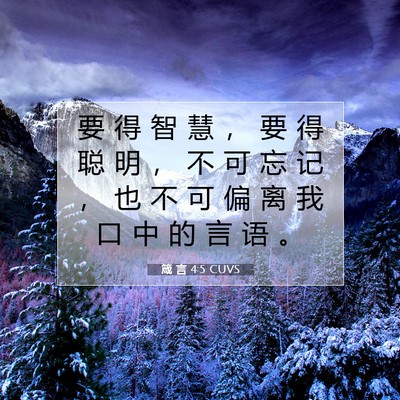 Picture 07 - 箴 言 4:5 CUVS - 要 得 智 慧 ， 要 得 聪 明 ， 不 可 - Bible Verse Picture