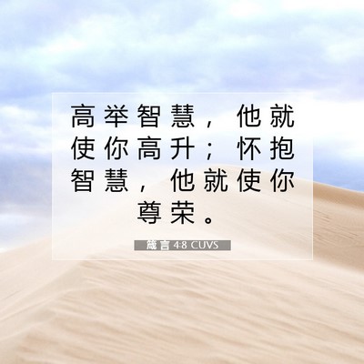 Picture 07 - 箴 言 4:8 CUVS - 高 举 智 慧 ， 他 就 使 你 高 升 ； - Bible Verse Picture