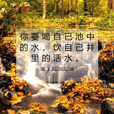 Picture 07 - 箴 言 5:15 CUVS - 你 要 喝 自 己 池 中 的 水 ， 饮 自 - Bible Verse Picture