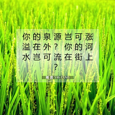 Picture 07 - 箴 言 5:16 CUVS - 你 的 泉 源 岂 可 涨 溢 在 外 ？ 你 - Bible Verse Picture
