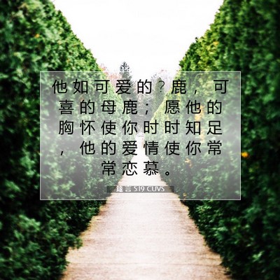 Picture 07 - 箴 言 5:19 CUVS - 他 如 可 爱 的 ? 鹿 ， 可 喜 的 母 鹿 - Bible Verse Picture