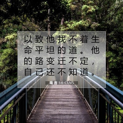 Picture 07 - 箴 言 5:6 CUVS - 以 致 他 找 不 着 生 命 平 坦 的 道 - Bible Verse Picture