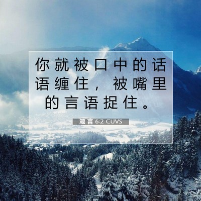 Picture 07 - 箴 言 6:2 CUVS - 你 就 被 口 中 的 话 语 缠 住 ， 被 - Bible Verse Picture