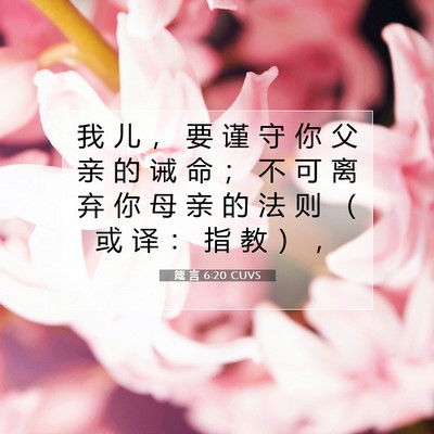 Picture 07 - 箴 言 6:20 CUVS - 我 儿 ， 要 谨 守 你 父 亲 的 诫 命 - Bible Verse Picture