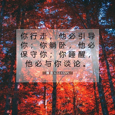 Picture 07 - 箴 言 6:22 CUVS - 你 行 走 ， 他 必 引 导 你 ； 你 躺 - Bible Verse Picture