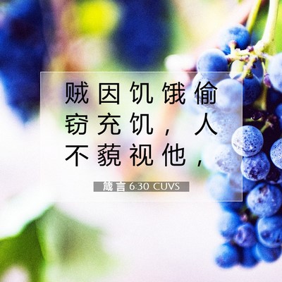 Picture 07 - 箴 言 6:30 CUVS - 贼 因 饥 饿 偷 窃 充 饥 ， 人 不 藐 - Bible Verse Picture