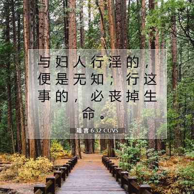 Picture 07 - 箴 言 6:32 CUVS - 与 妇 人 行 淫 的 ， 便 是 无 知 ； - Bible Verse Picture