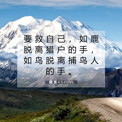 Picture 07 - 箴 言 6:5 CUVS - 要 救 自 己 ， 如 鹿 脱 离 猎 户 的 - Bible Verse Picture