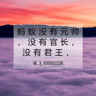 Picture 07 - 箴 言 6:7 CUVS - 蚂 蚁 没 有 元 帅 ， 没 有 官 长 ， - Bible Verse Picture