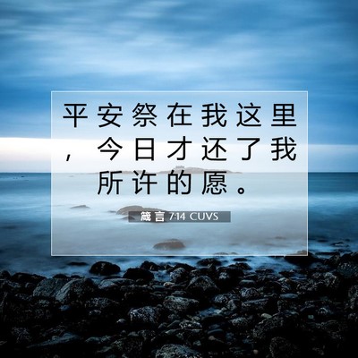 Picture 07 - 箴 言 7:14 CUVS - 平 安 祭 在 我 这 里 ， 今 日 才 还 - Bible Verse Picture