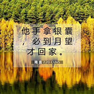 Picture 07 - 箴 言 7:20 CUVS - 他 手 拿 银 囊 ， 必 到 月 望 才 回 - Bible Verse Picture