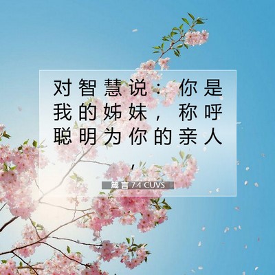 Picture 07 - 箴 言 7:4 CUVS - 对 智 慧 说 ： 你 是 我 的 姊 妹 ， - Bible Verse Picture