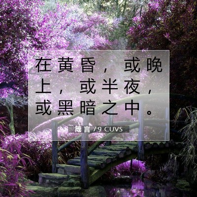 Picture 07 - 箴 言 7:9 CUVS - 在 黄 昏 ， 或 晚 上 ， 或 半 夜 ， - Bible Verse Picture
