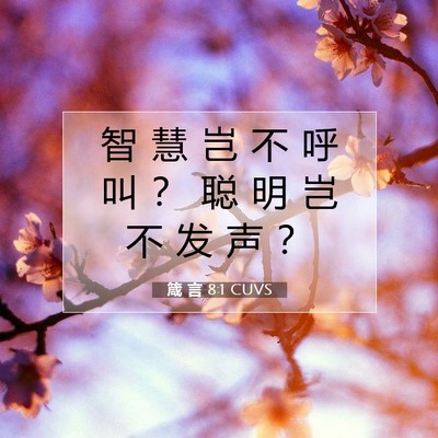 Picture 07 - 箴 言 8:1 CUVS - 智 慧 岂 不 呼 叫 ？ 聪 明 岂 不 发 - Bible Verse Picture
