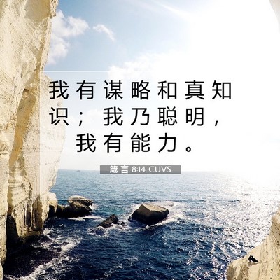 Picture 07 - 箴 言 8:14 CUVS - 我 有 谋 略 和 真 知 识 ； 我 乃 聪 - Bible Verse Picture