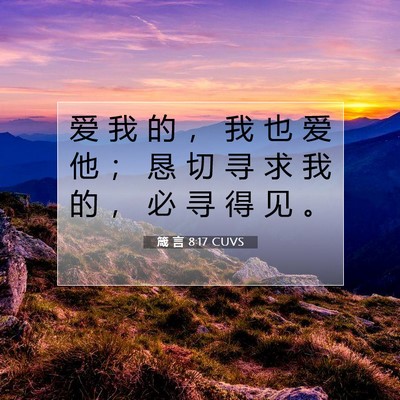 Picture 07 - 箴 言 8:17 CUVS - 爱 我 的 ， 我 也 爱 他 ； 恳 切 寻 - Bible Verse Picture