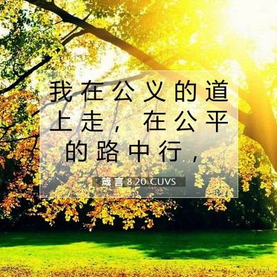 Picture 07 - 箴 言 8:20 CUVS - 我 在 公 义 的 道 上 走 ， 在 公 平 - Bible Verse Picture