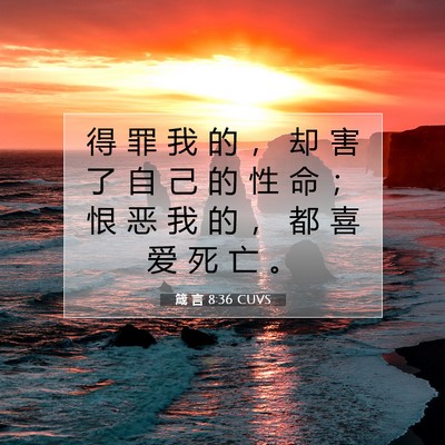 Picture 07 - 箴 言 8:36 CUVS - 得 罪 我 的 ， 却 害 了 自 己 的 性 - Bible Verse Picture