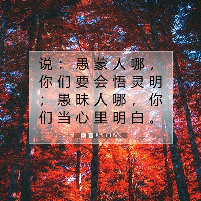 Picture 07 - 箴 言 8:5 CUVS - 说 ： 愚 蒙 人 哪 ， 你 们 要 会 悟 - Bible Verse Picture