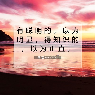 Picture 07 - 箴 言 8:9 CUVS - 有 聪 明 的 ， 以 为 明 显 ， 得 知 - Bible Verse Picture