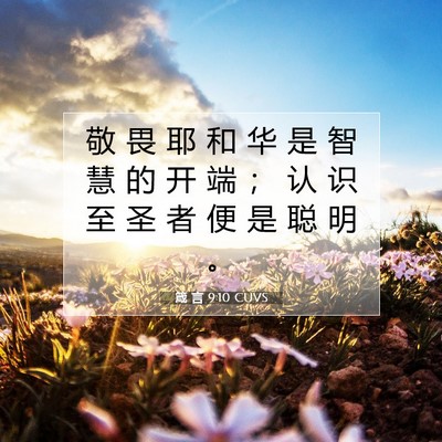 Picture 07 - 箴 言 9:10 CUVS - 敬 畏 耶 和 华 是 智 慧 的 开 端 ； - Bible Verse Picture