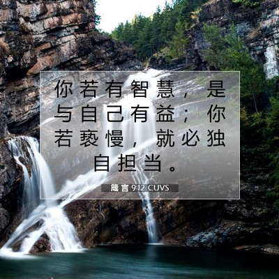 Picture 07 - 箴 言 9:12 CUVS - 你 若 有 智 慧 ， 是 与 自 己 有 益 - Bible Verse Picture